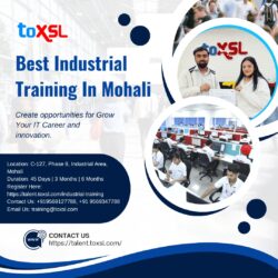Best Industrial Training In Mohali – ToXSL Technologies