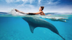 Best reasons for Zanzibar beach vacation. Why is it a must do