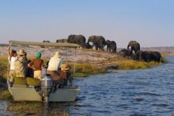 Best Tanzania Safari Tours Activities in Nyerere National Park