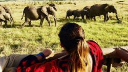 Best Way to Combine Northern Tanzania Safari Parks in 7 Days