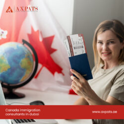 Top Canada Immigration Consultants in Abu Dhabi: Your Path to Success