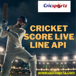Cricket Live Line API by Cricsportz – Real-Time Ball-by-Ball Updates