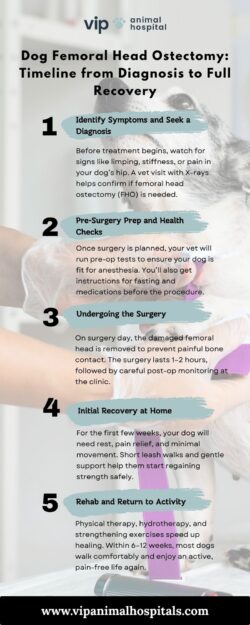 Dog Femoral Head Ostectomy: A Lifesaving Procedure at VIP Animal Hospital