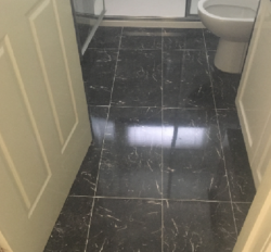 Easy and Prompt Solution for Water Leak Detection in Eltham