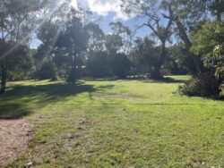 Understanding Land Capability Assessments: A Guide to Smart Land Use Planning