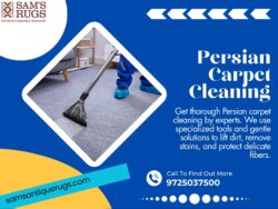 Persian Carpet Cleaning – Protecting and Deep Cleaning Valuable Hand-Knotted Rugs