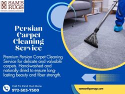 Persian Carpet Cleaning Service: Best Deep Cleaners for Persian Wool and Silk Rugs