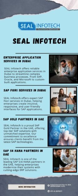 Reliable Enterprise Application Services in Dubai – SEAL Infotech