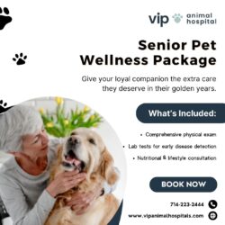 Extend Your Pet’s Lifespan with the Senior Pet Wellness Package at VIP Animal Hospital