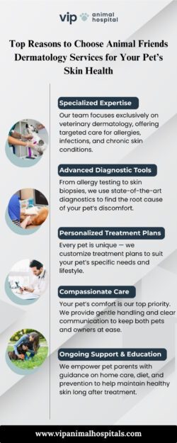 Expert Pet Skincare with Animal Friends Dermatology Services – VIP Animal Hospital
