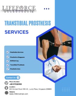 Transtibial Prosthesis Services
