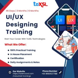 UI/UX Designing Training in Mohali/Chandigarh