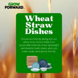 Wheat Straw Dishes