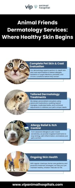 Complete Animal Friends Dermatology Services for Dogs & Cats