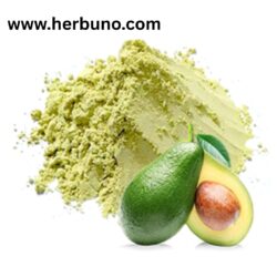 Creative Baking Ideas Using Pure Dried Fresh Avocado Powder