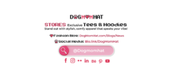 DogMomHat x Hiyatee: Unique Collections for True Graphic Tee Lovers