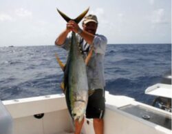 Miami Swordfish Charters
