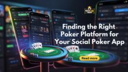 Choosing the Right Poker Software for a Social Gaming Business
