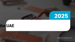 How the 2025 E-Invoicing Law Will Impact UAE Businesses