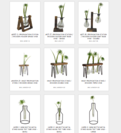 Buy Sleek Propagation Vases for Home and Gifting