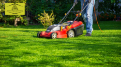 6 Lawn Mowing Hacks You Need to Know