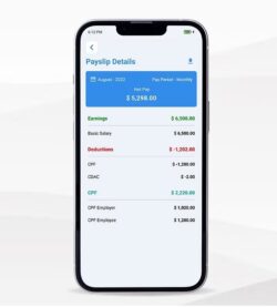 Payslip Singapore: Unveiling Payroll Perfection!