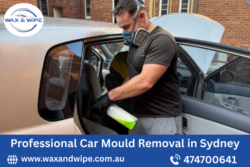 Professional Car Mould Removal in Sydney