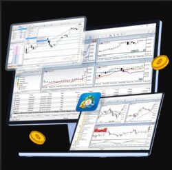 🌍💹 Master Trading with a Demo Account – Risk-Free! 💹🌍