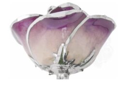 Discover the Warm Glow of Elegant Jewelry