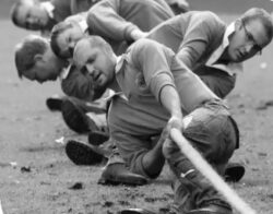 Asset Protection Near Me