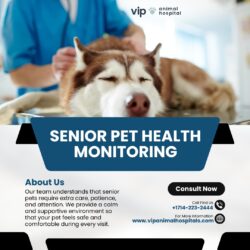 VIP Animal Hospital – Trusted Experts in Senior Pet Health Monitoring
