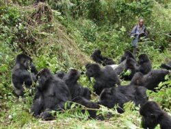 Best Things to Carry for Gorilla Tracking Rwanda