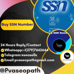 Request Social Security Number for the First Time in the United States: Essential Guide