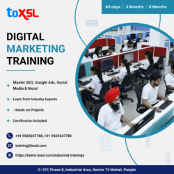 Digital Marketing Training – ToXSL Technologies