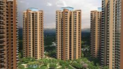Premium Homes and Top-Rated Projects in Noida Extension