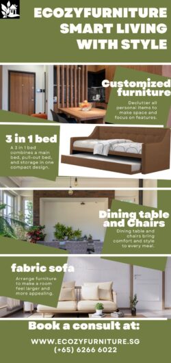 Ecozy Furniture: Smart Living with Style