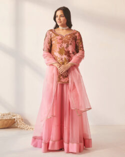 Beautiful Lehenga For Women Perfect for Every Occasion and Celebration