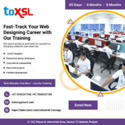 Fast-Track Your Web Designing Career with ToXSL
