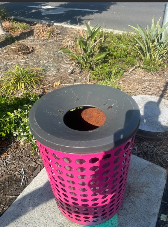 Weed Control Solutions Every Homeowner Should Know