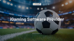 iGaming Software Provider