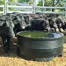 Keep Your Flock Hydrated with Tough Built Sheep Water Trough