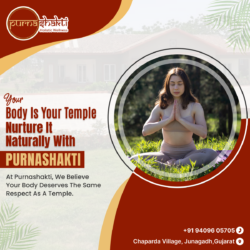 Holistic Wellness Center India – PurnaShakti Holistic Wellness