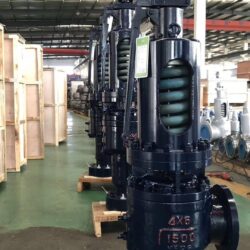 Thermal Safety Valve manufacturer in USA