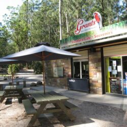 Expert Holiday Rental Management in the Dandenong Ranges with Yarra Ranges Accommodation