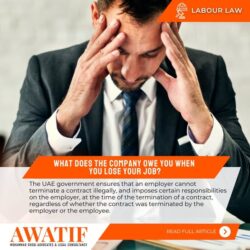 Learn More About What the Company Owe You When You Lose Your Job?