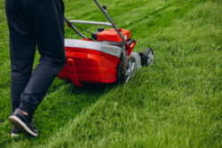 Lawn Care Web Design: Build a Website That Grows Your Business