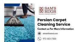 Persian Carpet Cleaning Service – Expert Maintenance and Washing for Persian Rugs