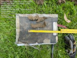 Planning Land Capability Assessment Services: Understanding Process and Cost Factors