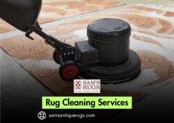 Rug Cleaning Services – Professional Carpet Washing & Maintenance