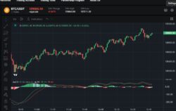 Looking to step into the world of forex trading with confidence?